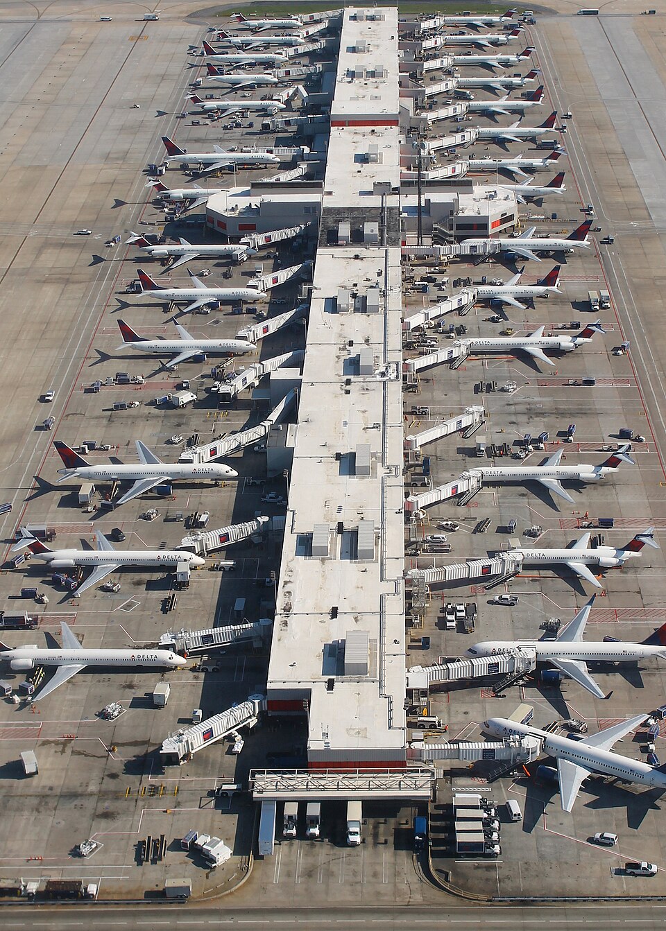 Terminal and Baggage Area Branding in Indian Airports Sees Strong Demand